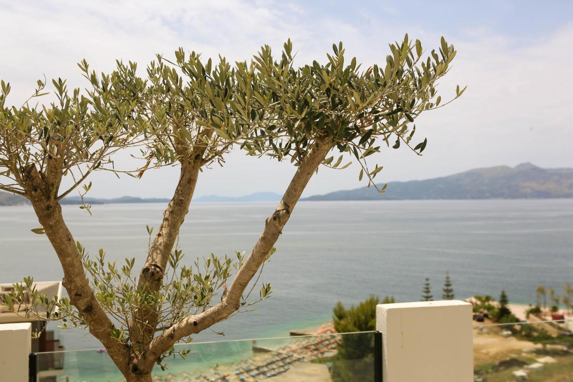 Matias Apartments Sarandë Exterior foto
